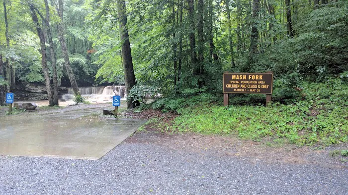 Mash Fork Campground 4