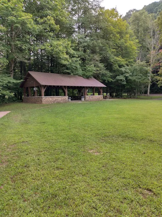 Mash Fork Campground 6