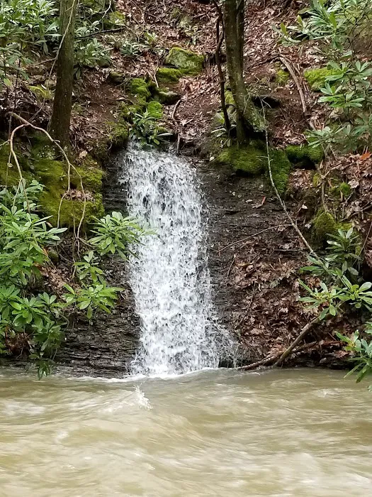 Mash Fork Campground 8