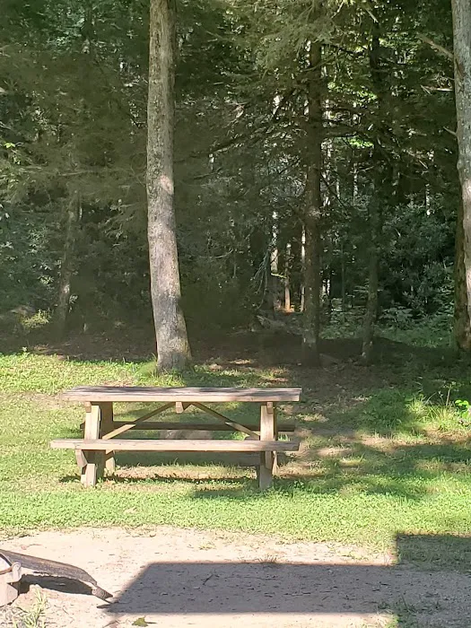 Mash Fork Campground 9