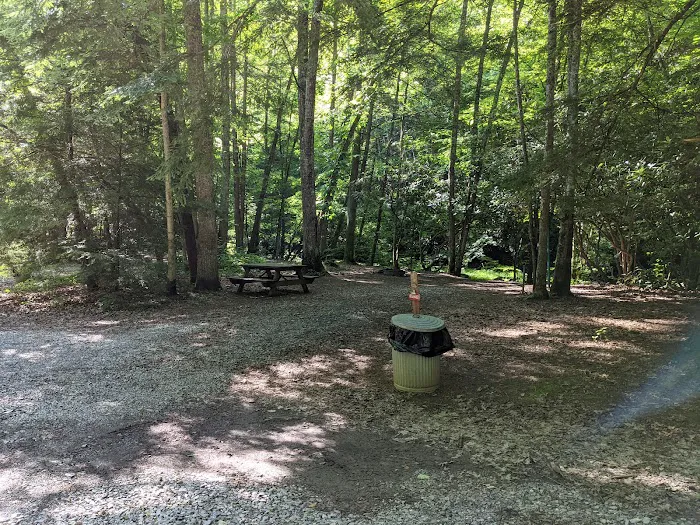 Blue Jay Campground 3