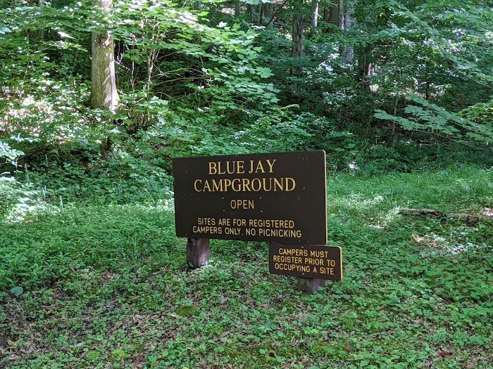Blue Jay Campground 5