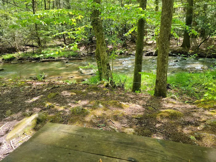 Blue Jay Campground 2