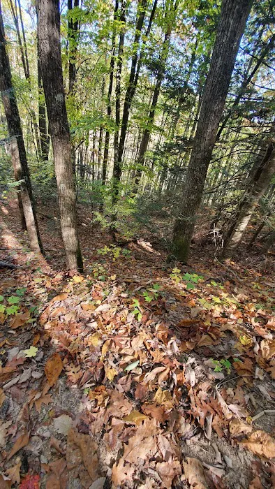 Blue Jay Campground 6