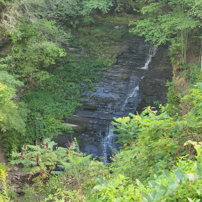 Pipestem Campground 7