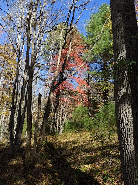 Pipestem Campground 10