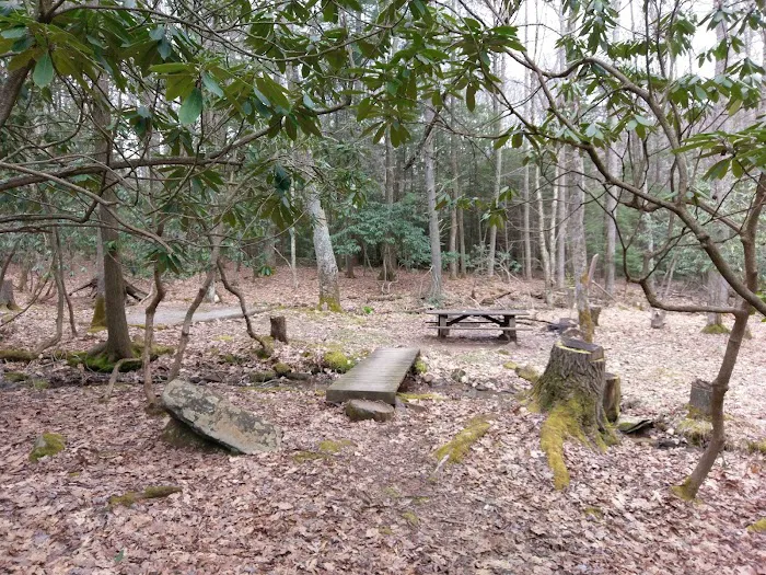 White Rocks Campground 10