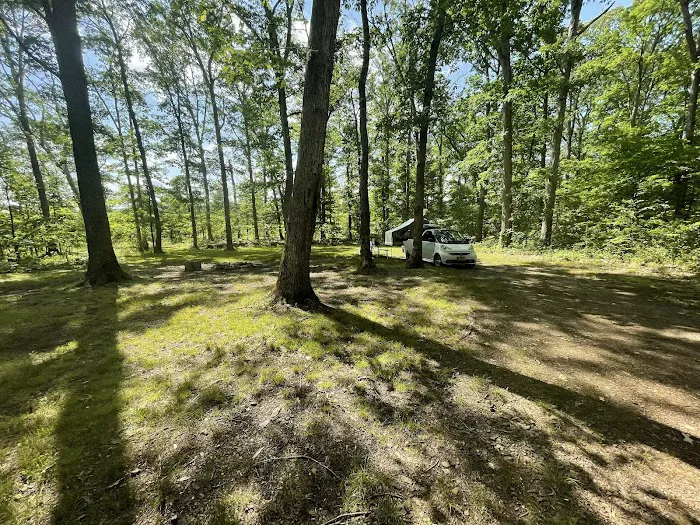 The Pines Campground 3