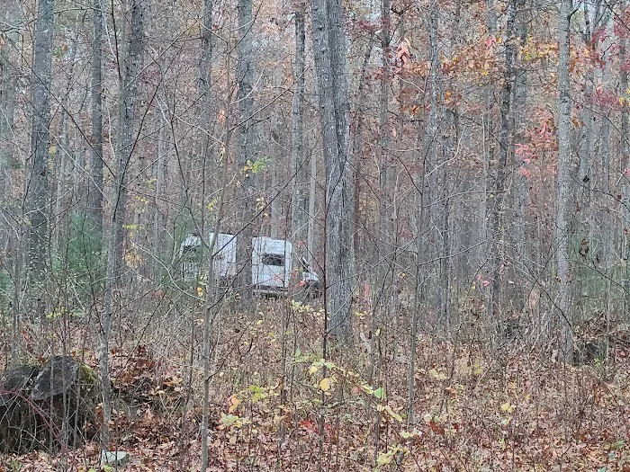 The Pines Campground 10