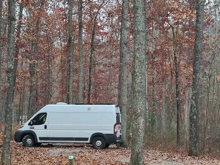 The Pines Campground 9