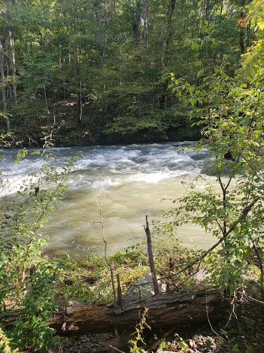 Steel Bridge Campground 5