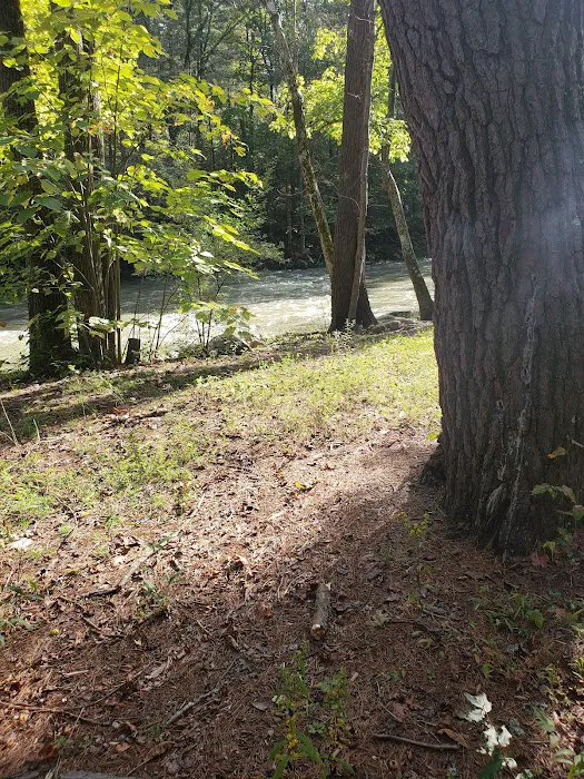 Steel Bridge Campground 6