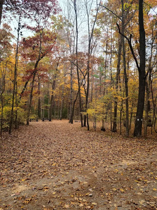 Steel Bridge Campground 7