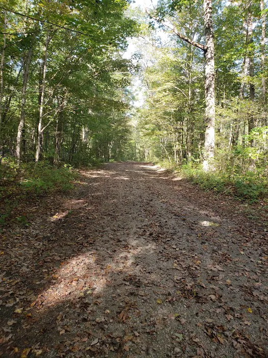 Steel Bridge Campground 8