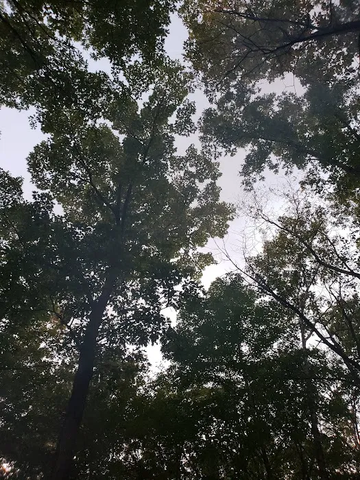 Steel Bridge Campground 9