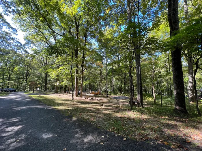 Peaks Of Otter Campground 3