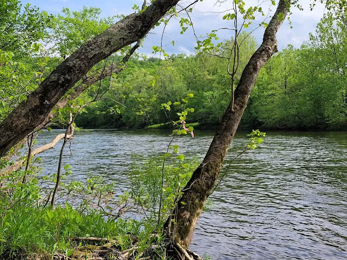 Gala River Front Campground 9