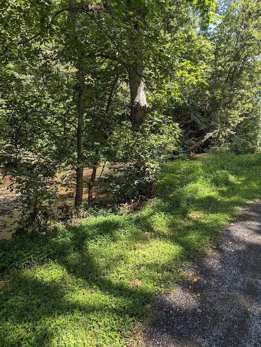 Gala River Front Campground 6