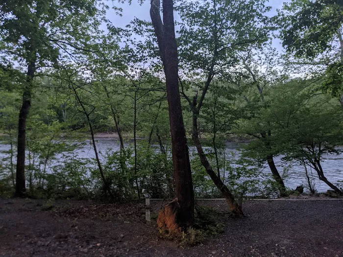 Twin River Campground Driveway 1