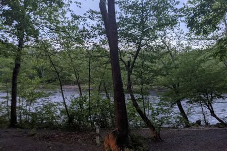 Twin River Campground Driveway