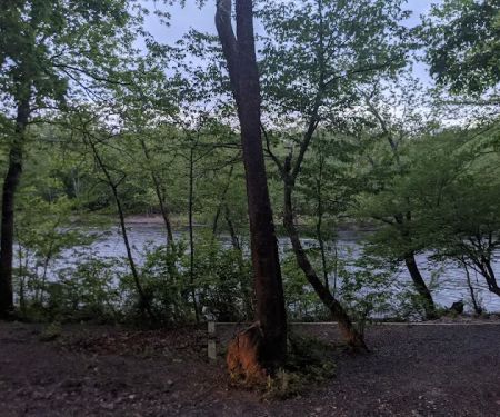 Twin River Campground Driveway