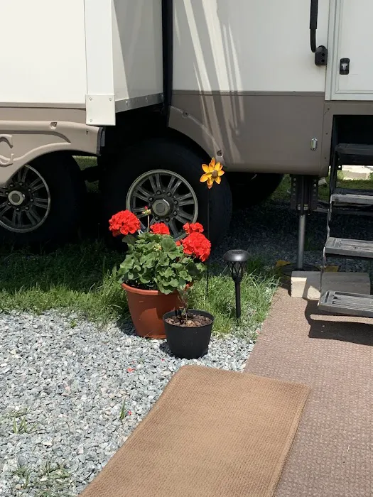 Cluster Springs RV Park 9