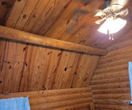 Enfield / Rocky Mount KOA Journey