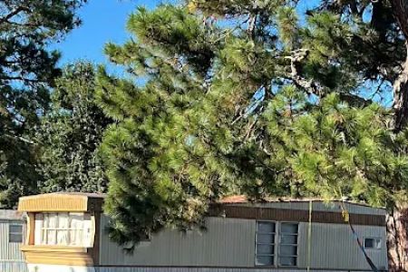 Branches Estates Mobile Home Community