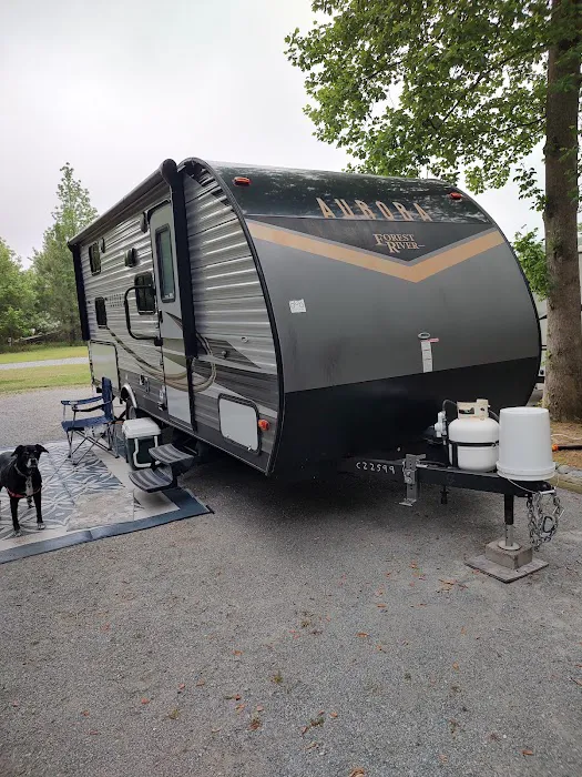 Turkey Quarter Campground & RV Park 6