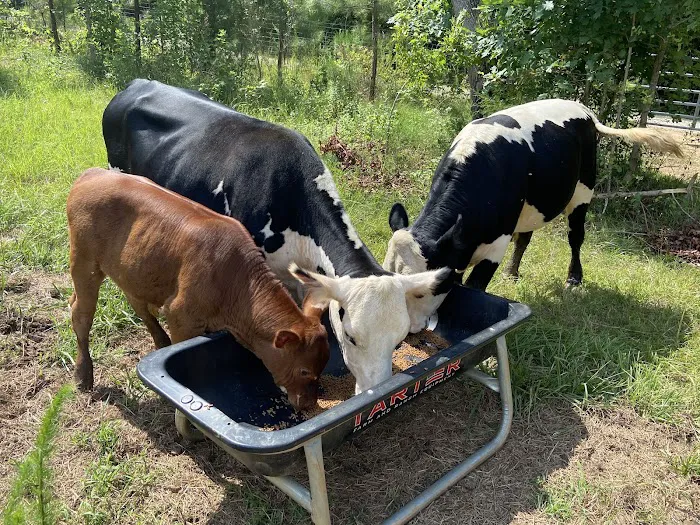 Matthews Creek Farm 3