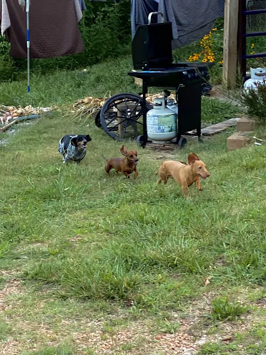 Matthews Creek Farm 10
