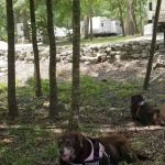 Reid Acres Mobile Home Park