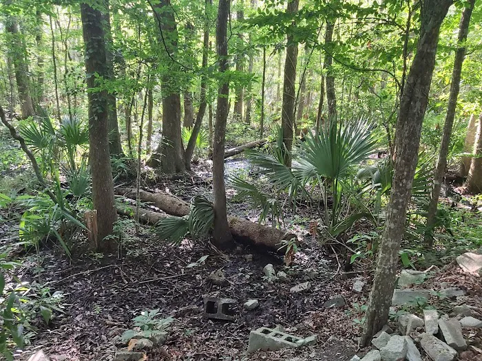 Hawkins Creek Campground 6