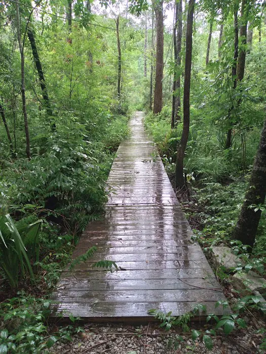 Hawkins Creek Campground 8