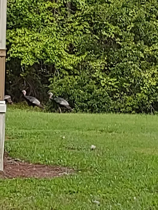 Turtle Cove mobile home park 4