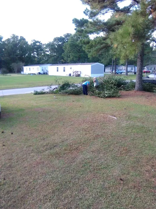 Turtle Cove mobile home park 6