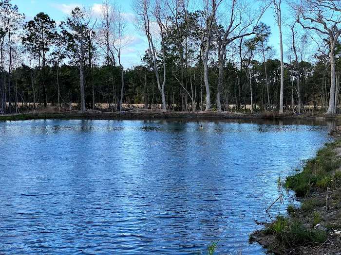 Osprey Landing RV Resort 7