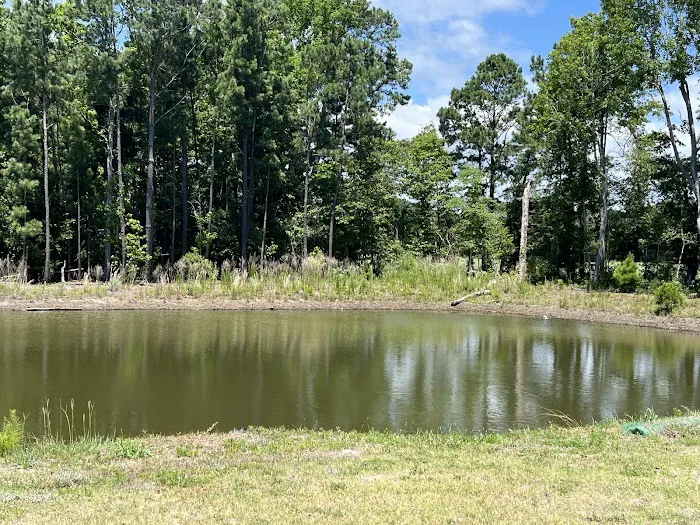 Osprey Landing RV Resort 9