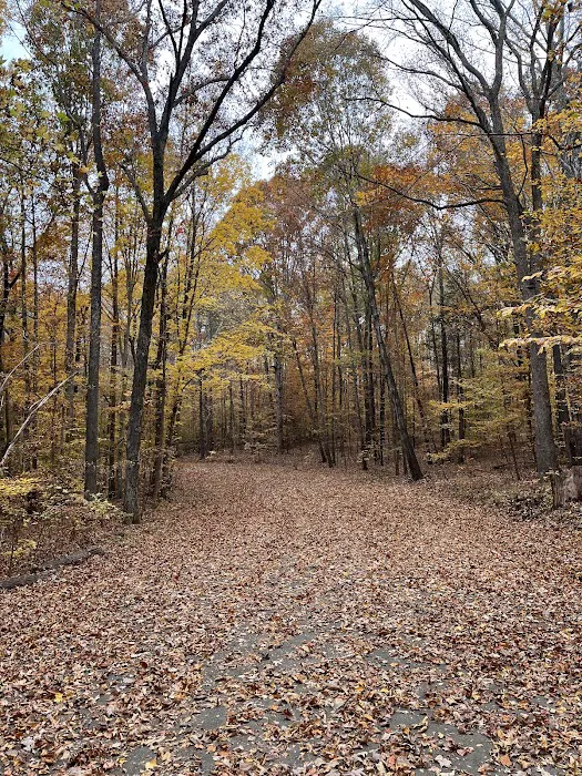 Kerr Lake Area 3 4
