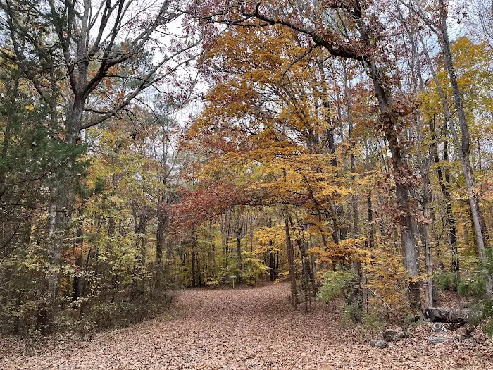 Kerr Lake Area 3 10