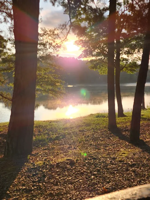 Kerr Lake State Park, Hibernia Group Area 5