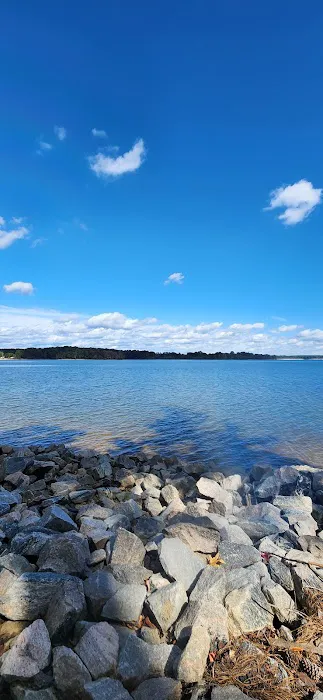 Hibernia Campground - Area 2 4
