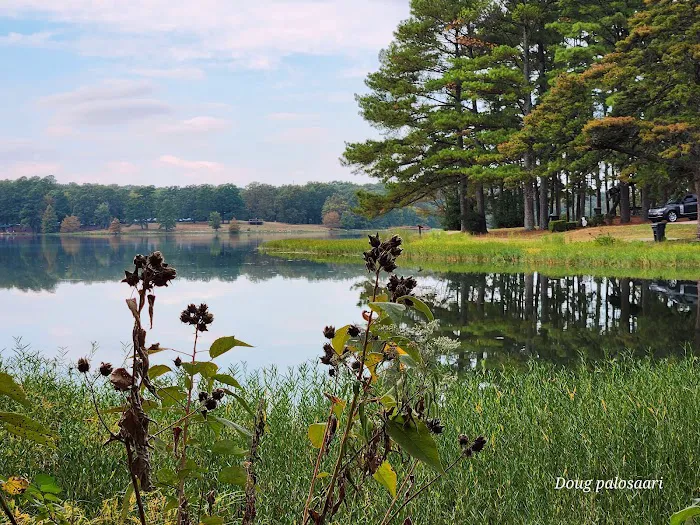 Craighead Forest Park RV/Campground 3