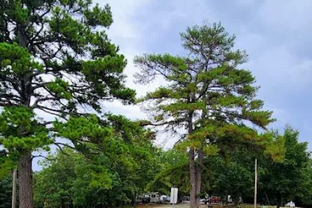 Craighead Forest Park RV/Campground