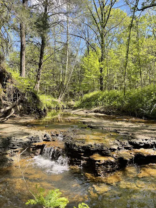 Shark Tooth Creek 6