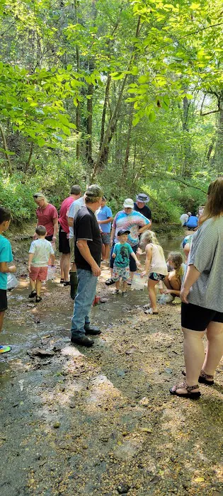 Shark Tooth Creek 10