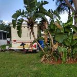 Paradise Mobile Home Park