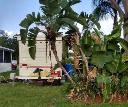 Paradise Mobile Home Park