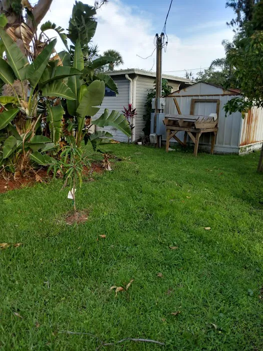 Paradise Mobile Home Park 4