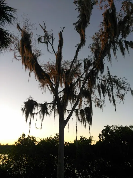 River Oaks RV Resort 7